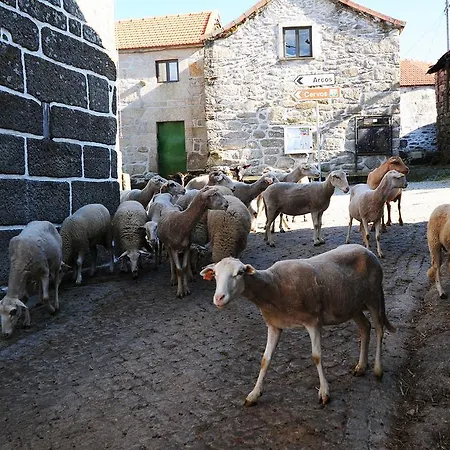 Country house Casa Entre As Serras