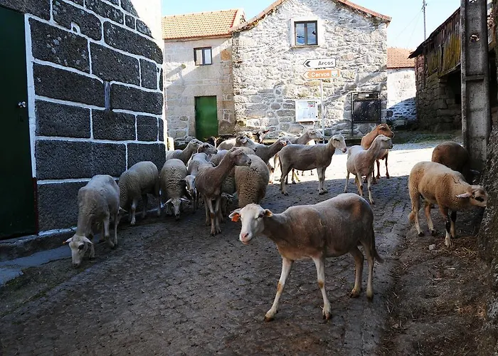 Εξοχικό σπίτι Casa Entre As Serras